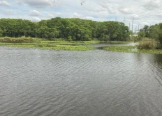St. Johns River Boat Cruise 4-19-23